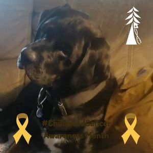 Meet your Posher, Karla